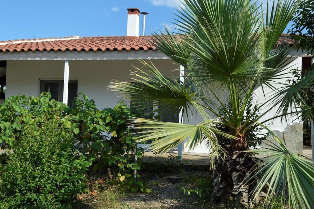 Litochoro apartment in estate Exterior foto