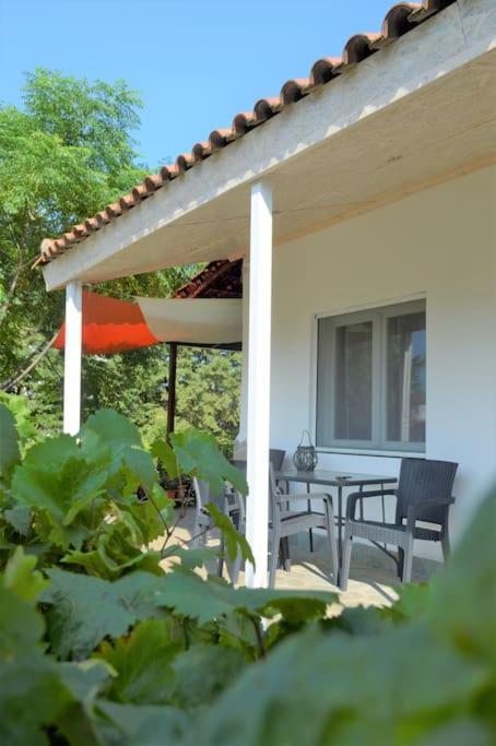 Litochoro apartment in estate Exterior foto